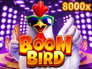 Boom Bird thumbnail